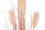DKD Home Decor Planta de PE y PVC Plumero Coral 45x45x150 cm