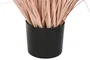 DKD Home Decor Planta de PE y PVC Plumero Coral 45x45x150 cm