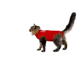B. Braun Camiseta Protectora Para Gato 3XS 29 cm Roja