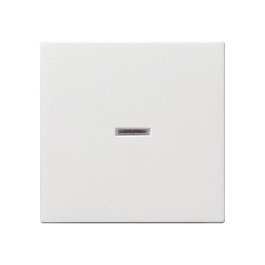 GIRA 029003 Wippe Kontroll System 55 Blanco
