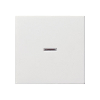 GIRA 029003 Wippe Kontroll System 55 Blanco GIRA 029003 Wippe Kontroll System 55 Blanco