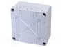 GEWISS GW40005 Carcasa para aparatos modulares 40 CD IP55 Blanco