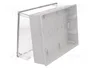 ELEKTRO-PLAST NASIELSK EP-LUX Caja de conexiones gris claro IP55