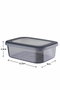 Hermia Caja de almacenamiento 250 ml (12 Piezas) Antracita de Plástico para Organización del Hogar
