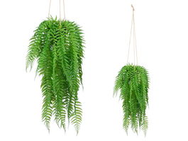 Ibergarden Planta Helecho Colgar Verde/Negro 12 cm Ancho x 66 cm Alto x 12 cm Largo (Set de 12)