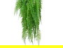 Ibergarden Planta Helecho Colgar Verde/Negro 12 cm Ancho x 66 cm Alto x 12 cm Largo (Set de 12)