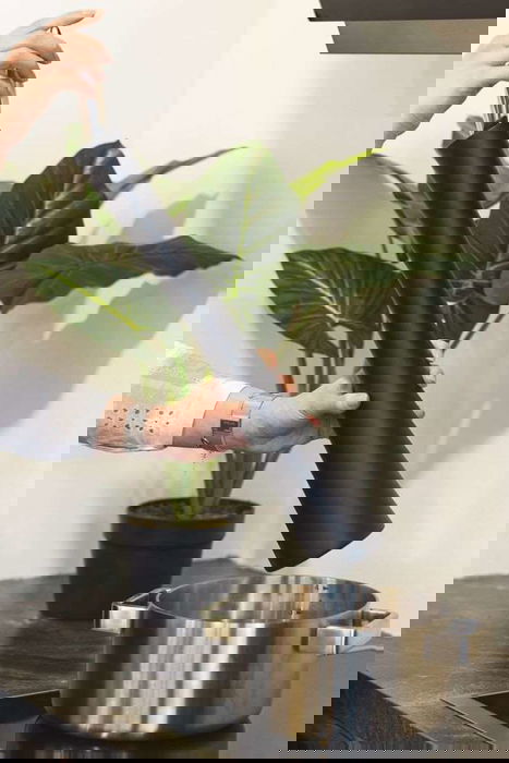 Alessi MP1562 Molinillo de Pimienta de Madera Diseñado por Paolo Pagani 60 cm