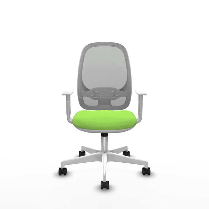PIQUERAS Y CRESPO Silla de oficina Cilanco con mecanismo Sincro, Tela Pistacho y Malla Gris PIQUERAS Y CRESPO Silla de oficina Cilanco con mecanismo Sincro, Tela Pistacho y Malla Gris