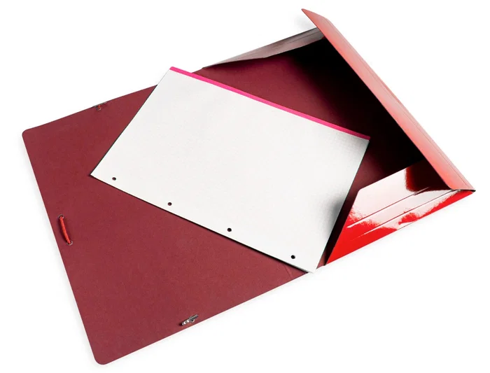 Liderpapel Carpeta de Gomas Tres Solapas Cartón Plastificado DIN A3 Colores Surtidos
