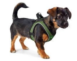 Hunter Arnés Hilo Comfort XXS Cuello: 26-30 cm Vientre: 31-33 cm Verde Claro Transpirable Reflectante Malla 3D