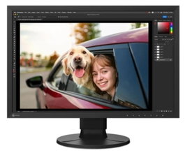 Eizo ColorEdge CS2400R Monitor IPS 24.1 pulgadas 1920 x 1200 WUXGA Negro
