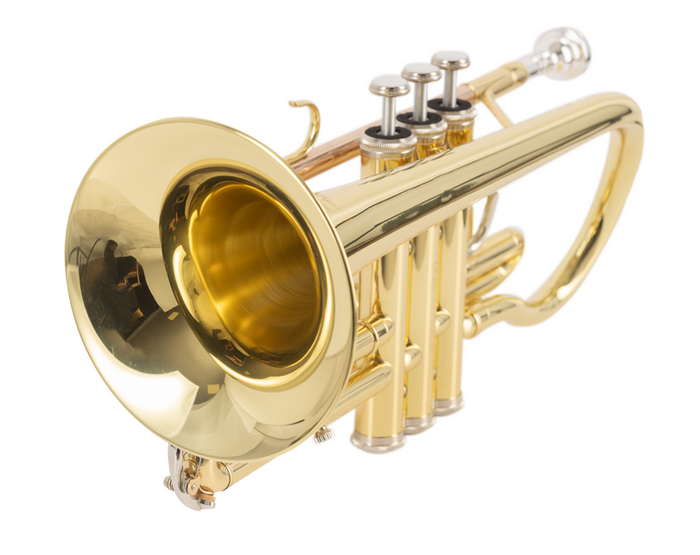 Corneta J. Michael En Si Bemol Ct420