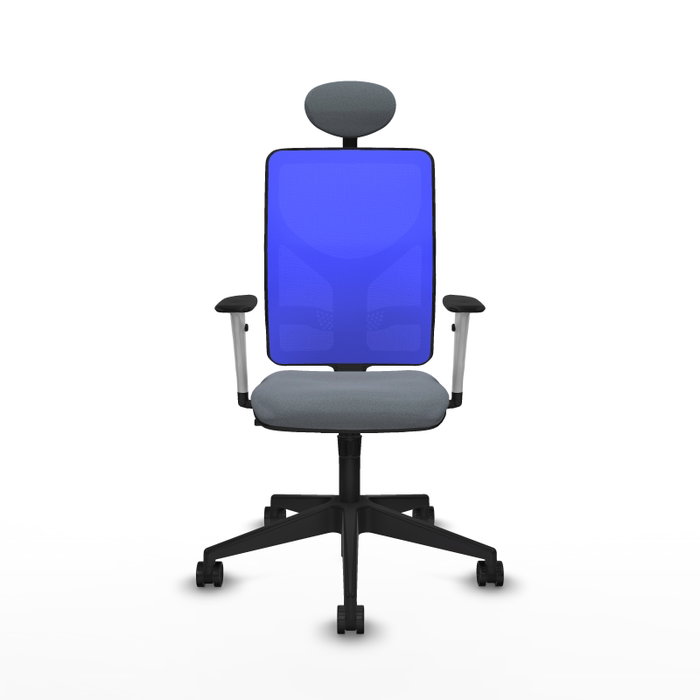 PIQUERAS Y CRESPO Silla de oficina Motilla con mecanismo Sincro, Gris y Azul PIQUERAS Y CRESPO Silla de oficina Motilla con mecanismo Sincro, Gris y Azul