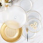 Hermia Juego de Platos para Postres de Vidrio Dorado Elegante para Ocasiones Especiales - 7 Piezas