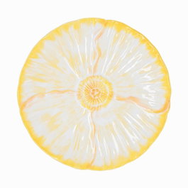 Bidasoa Plato Porcelana Silvestre 21 cm Amarillo (24 Unidades) anyway