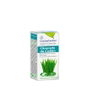 ESENTIAL AROMS Aceite Esencial Citronela de Ceilán Bio 10 ml