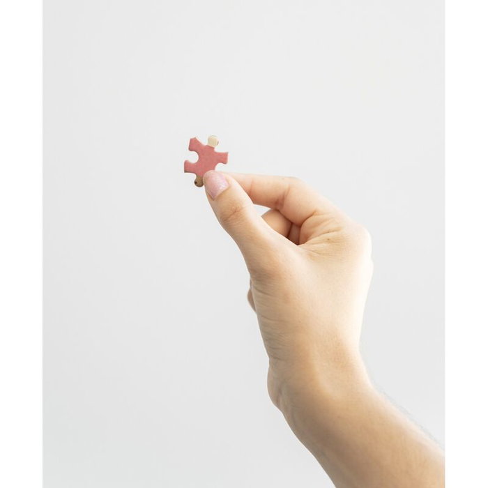 ERIK Puzzle Poción Gryffindor Harry Potter 322 piezas 32,4x38,7cm ERIK Puzzle Poción Gryffindor Harry Potter 322 piezas 32,4x38,7cm