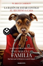 ROCABOLSILLO, LA RAZÓN DE ESTAR CONTIGO, Bruce W. Caneron - ROCABOLSILLO