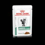 Royal Canin Feline Diabetic 12x85g