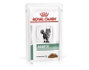 Royal Canin Feline Diabetic 12x85g