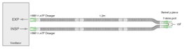Flextube Circuito Respiratorio 10mm/1,2m