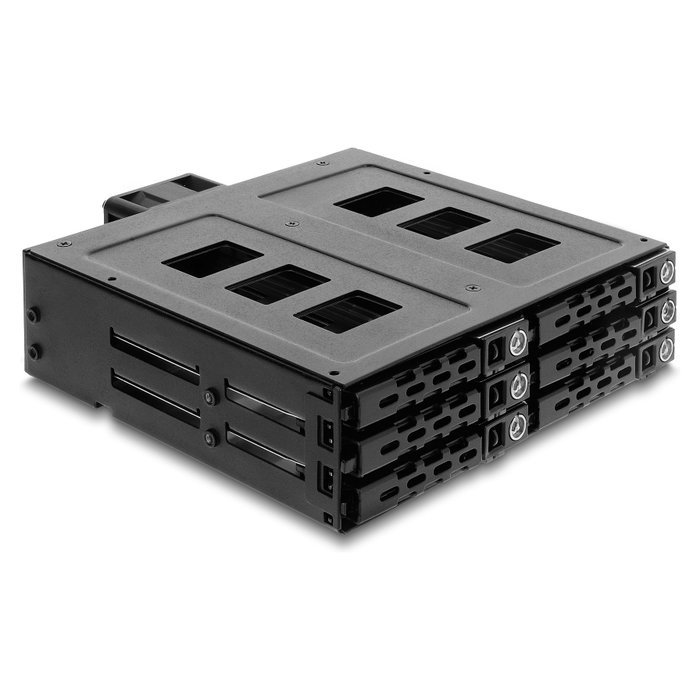 DeLOCK 47142 Bandeja de 5.25 pulg. para 6 unidades de 2.5 pulg. SATA o SAS con llave DeLOCK 47142 Bandeja de 5.25 pulg. para 6 unidades de 2.5 pulg. SATA o SAS con llave