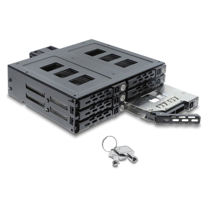 DeLOCK 47142 Bandeja de 5.25 pulg. para 6 unidades de 2.5 pulg. SATA o SAS con llave DeLOCK 47142 Bandeja de 5.25 pulg. para 6 unidades de 2.5 pulg. SATA o SAS con llave