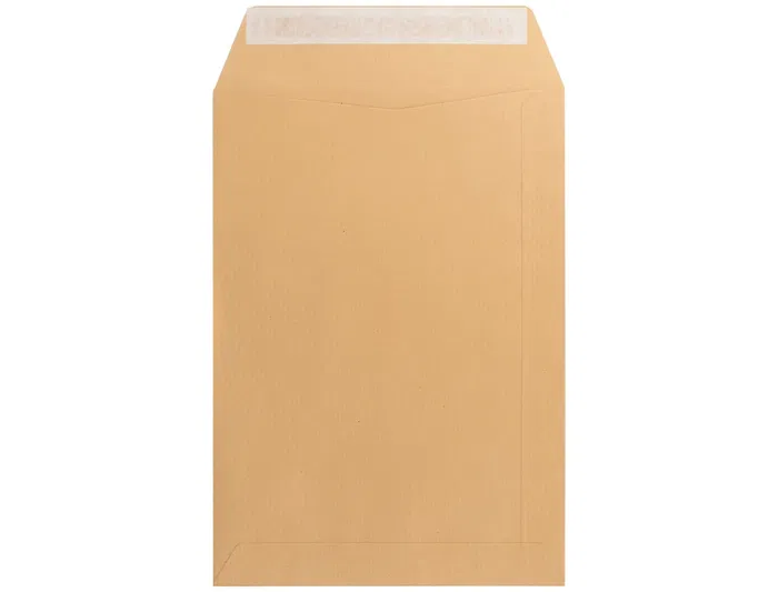 Liderpapel Bolsa N.4 Salarios 132x187 mm Kraft Tira de Silicona Caja 500 Unidades
