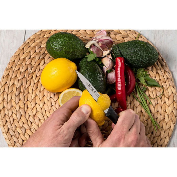 Arcos Cuchillo Mondador Sierra Nova 100 mm Acero Inoxidable Nitrum Mango Polipropileno