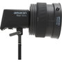 Amaran Fresnel for Ray