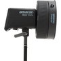 Amaran Fresnel for Ray