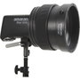 Amaran Fresnel for Ray