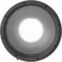 Amaran Fresnel for Ray