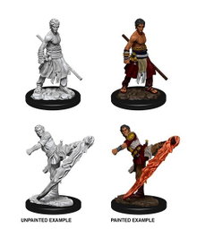 D&D Nolzur's Marvelous Miniatures Miniaturas sin pintar Male Half-Elf Monk Caja (6)