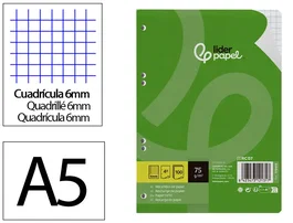 Liderpapel Recambio A5 100 Hojas 75g Cuadro 6mm con Margen y 6 Taladros