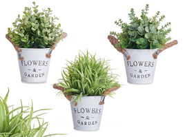 Ibergarden Planta Flor Verde Envejecida Bote Metal 24x16x16 cm, Maceta 7.5 cm, Surtido (Set de 12)