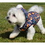 Nayeco Chaqueta para perro Fox repelente al agua con capucha 20 cm