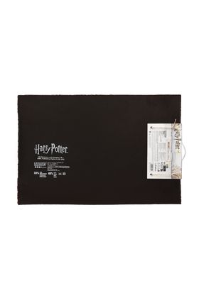 9 3/4 felpudo 60x40 cm harry potter