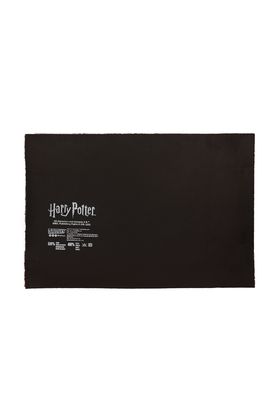 9 3/4 felpudo 60x40 cm harry potter