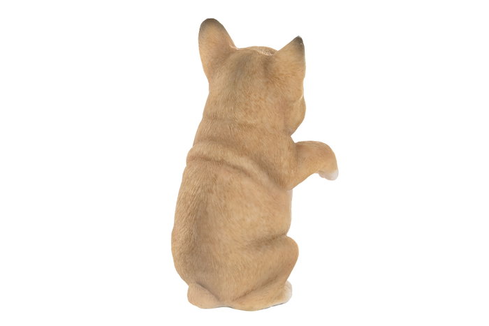 DKD Home Decor Set de 4 Figuras Perro Maceta de Resina, 8x8x14 cm