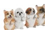 DKD Home Decor Set de 4 Figuras Perro Maceta de Resina, 8x8x14 cm