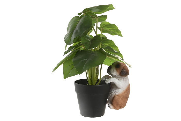 DKD Home Decor Set de 4 Figuras Perro Maceta de Resina, 8x8x14 cm