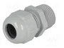 LAPP SKINTOP® ST NPT Sello aislante NPT1/2 pulgadas Gris