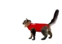 B. Braun Camiseta Protectora para Gato 2XS 33cm Roja