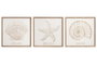 DKD Home Decor Cuadro MDF 40x40 con detalles de concha (Surtido de 3 unidades)