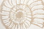 DKD Home Decor Cuadro MDF 40x40 con detalles de concha (Surtido de 3 unidades)