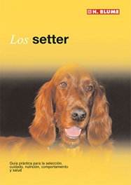 Setter, David George - H.BLUME