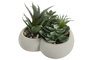 DKD Home Decor Planta Gris Verde Cemento PE 15 x 14 x 15 cm (12 Unidades)
