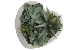DKD Home Decor Planta Gris Verde Cemento PE 15 x 14 x 15 cm (12 Unidades)
