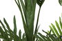 DKD Home Decor Planta Areca Palmera Verde 50 x 180 x 50 cm (2 Unidades)